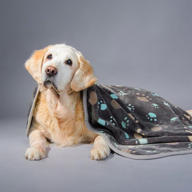HiFuzzyPet Soft Flannel Large Dog Blanket