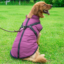 Load image into Gallery viewer, HiFuzzyPet Waterproof Dog Vest Winter Coat Warm
